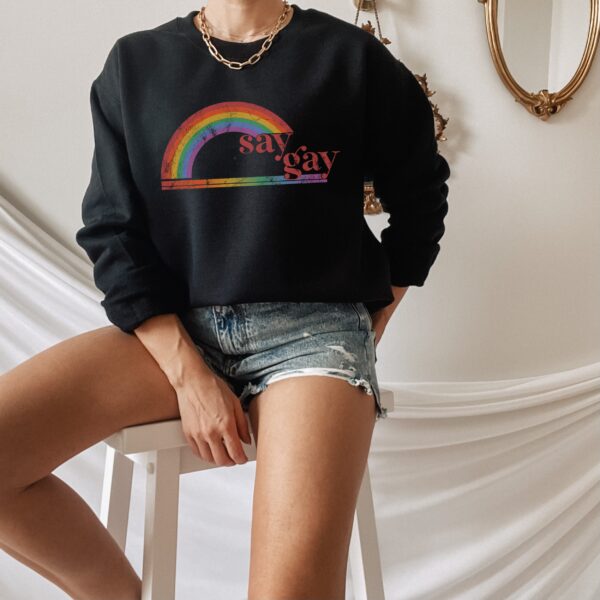 Florida Don’t Say Gay Bill LGBTQ Pride Unisex Sweatshirt Florida Don’t Say Gay Bill LGBTQ Pride Unisex Sweatshirt