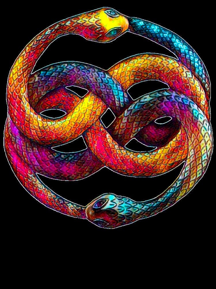 The Neverending Story Auryn Halloween Unisex T-Shirt The Neverending Story Auryn Halloween Unisex T-Shirt
