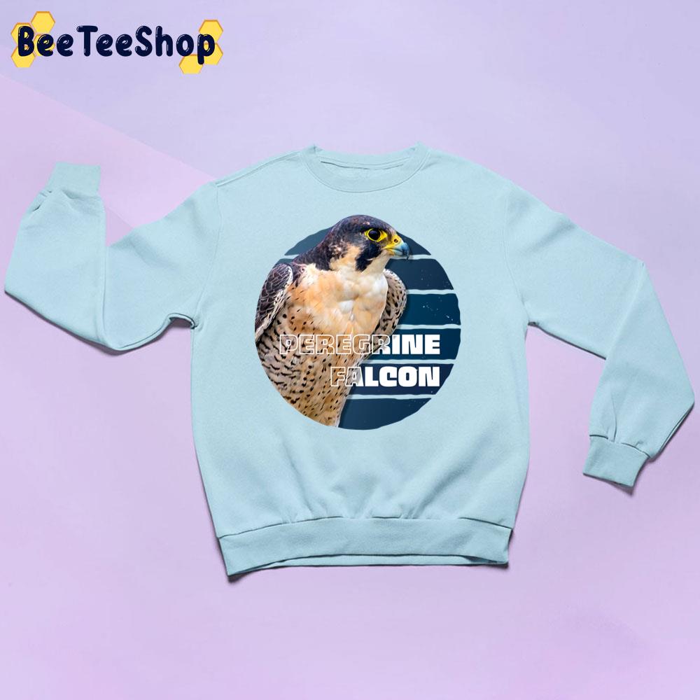 Vintage Peregrine Falcon Bird Trending Unisex Sweatshirt Vintage Peregrine Falcon Bird Trending Unisex Sweatshirt
