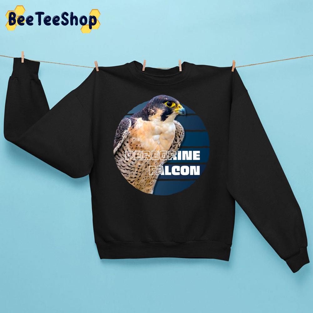 Vintage Peregrine Falcon Bird Trending Unisex Sweatshirt Vintage Peregrine Falcon Bird Trending Unisex Sweatshirt