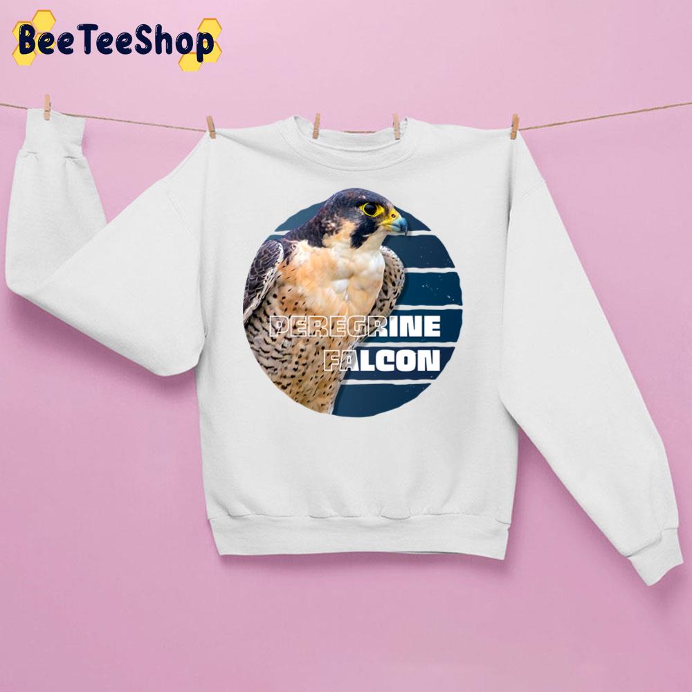Vintage Peregrine Falcon Bird Trending Unisex Sweatshirt Vintage Peregrine Falcon Bird Trending Unisex Sweatshirt