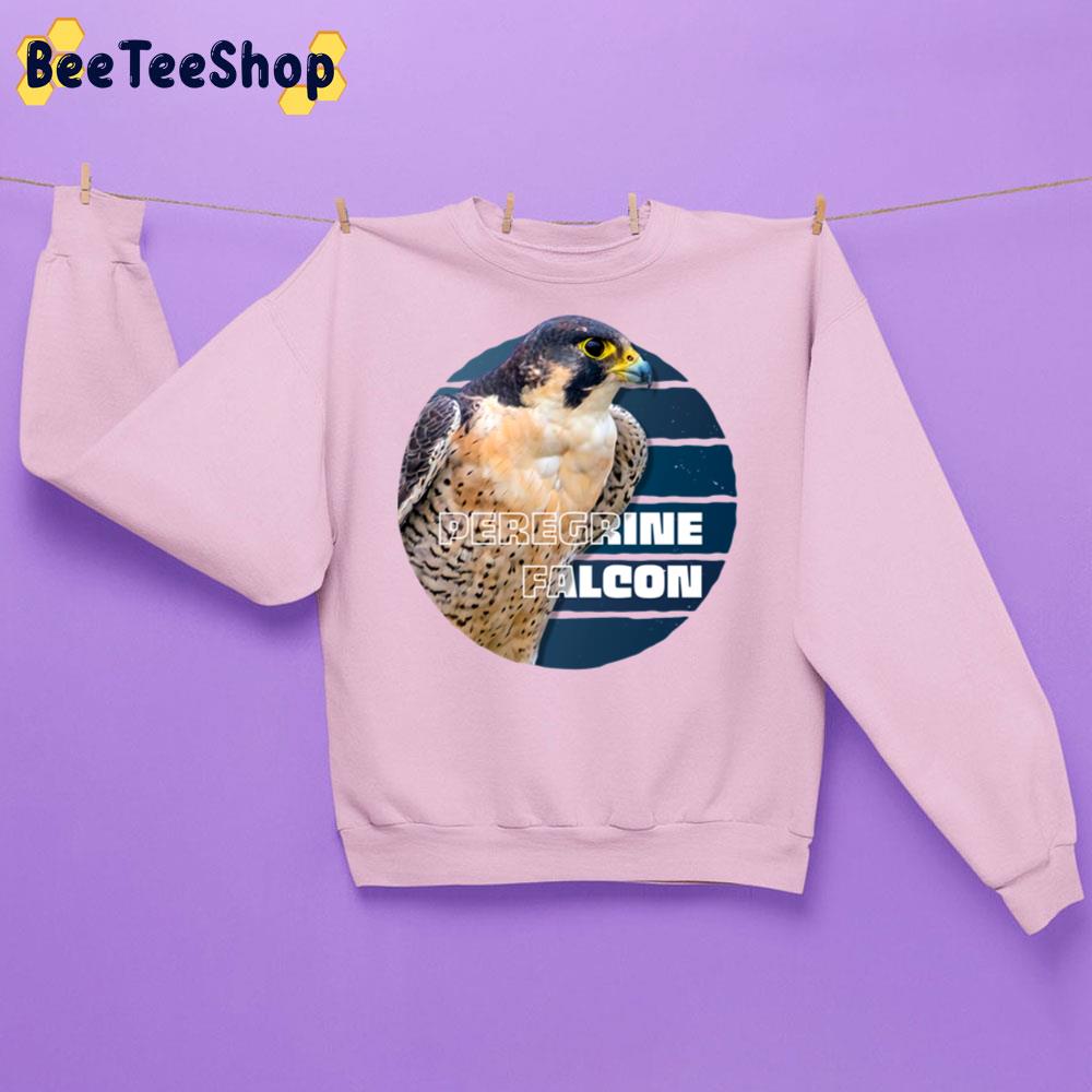Vintage Peregrine Falcon Bird Trending Unisex Sweatshirt Vintage Peregrine Falcon Bird Trending Unisex Sweatshirt
