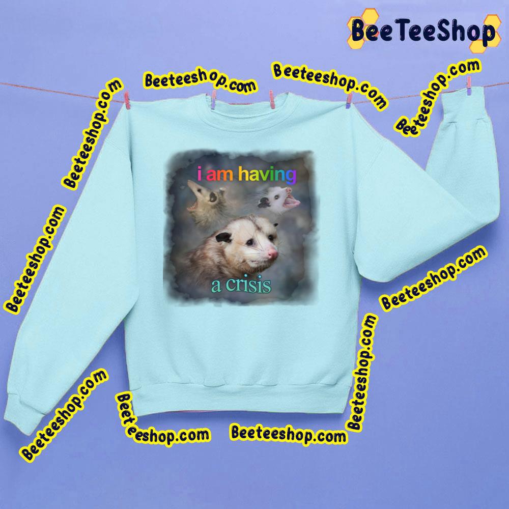 I Am Having A Crisis Possum Word Art Trending Unisex Sweatshirt I Am Having A Crisis Possum Word Art Trending Unisex Sweatshirt