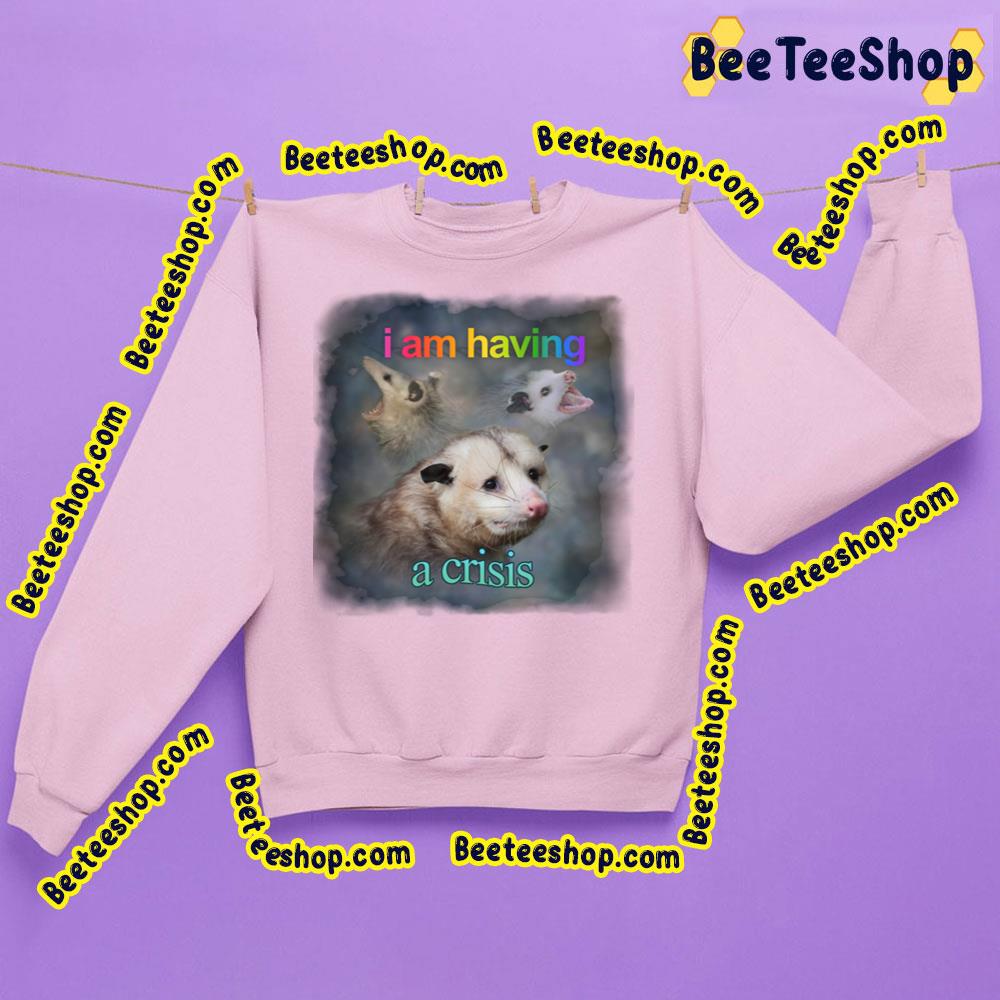 I Am Having A Crisis Possum Word Art Trending Unisex Sweatshirt I Am Having A Crisis Possum Word Art Trending Unisex Sweatshirt