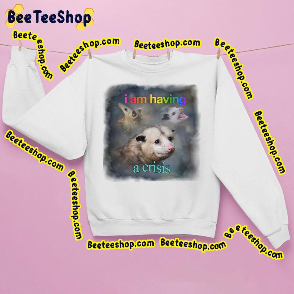 I Am Having A Crisis Possum Word Art Trending Unisex Sweatshirt I Am Having A Crisis Possum Word Art Trending Unisex Sweatshirt