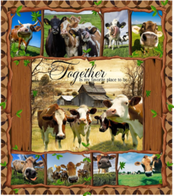 Cow Together Is My Favorite Quilt Blanket Cow Together Is My Favorite Quilt Blanket